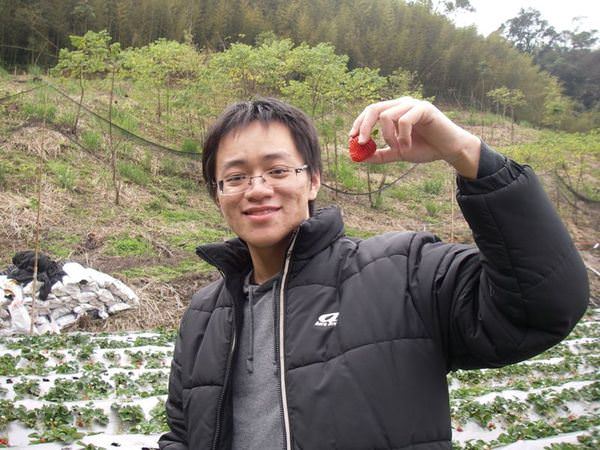 雪霸草莓園--上山採草莓 - nurseilife.cc